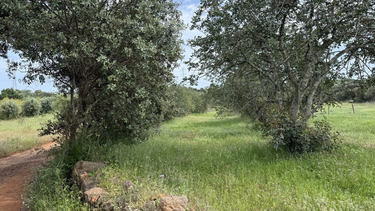 Moradia T0 para Venda em São Bartolomeu de Messines Foto 8