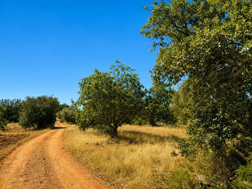 Moradia T0 para Venda em São Bartolomeu de Messines Foto 2