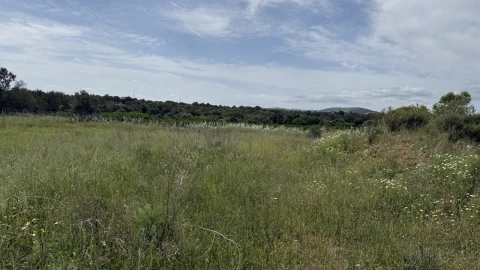 Moradia T0 para Venda em São Bartolomeu de Messines