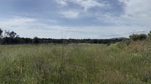 Moradia T0 para Venda em São Bartolomeu de Messines
