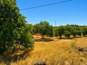 Moradia T0 para Venda em São Bartolomeu de Messines