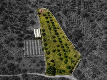 Moradia T0 para Venda em São Bartolomeu de Messines