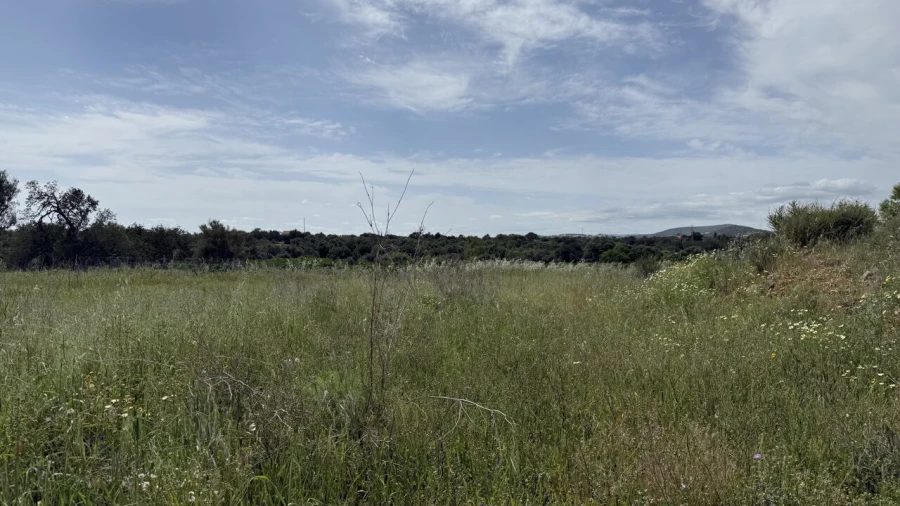 Moradia T0 para Venda em São Bartolomeu de Messines Foto 5