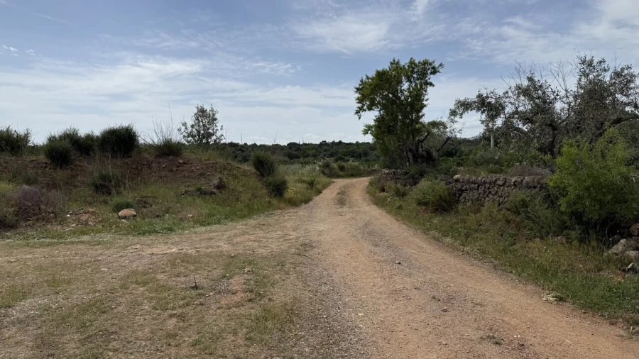Moradia T0 para Venda em São Bartolomeu de Messines Foto 6