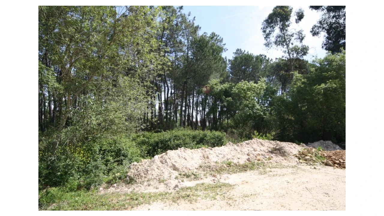 Terreno para Venda em Sebal e Belide Foto 5