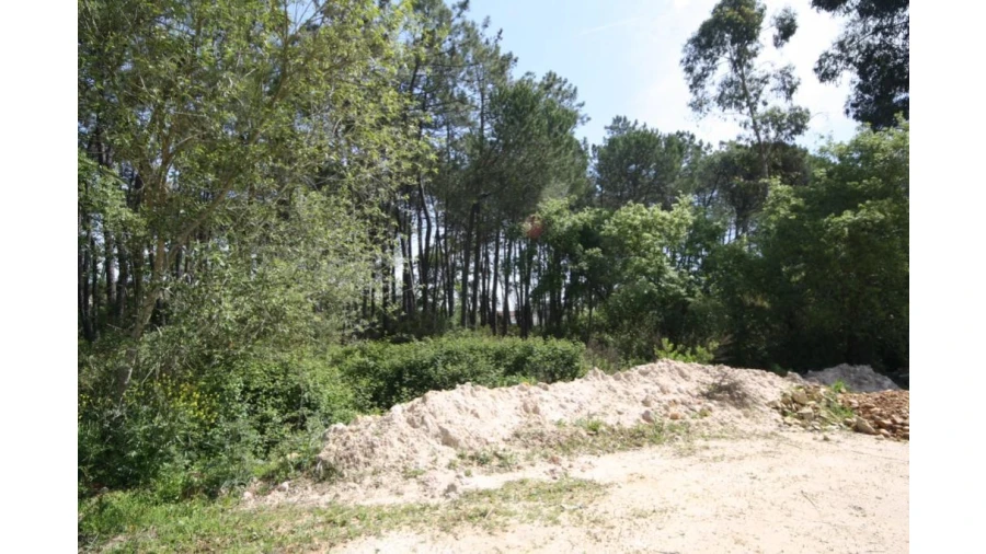 Terreno para Venda em Sebal e Belide Foto 5