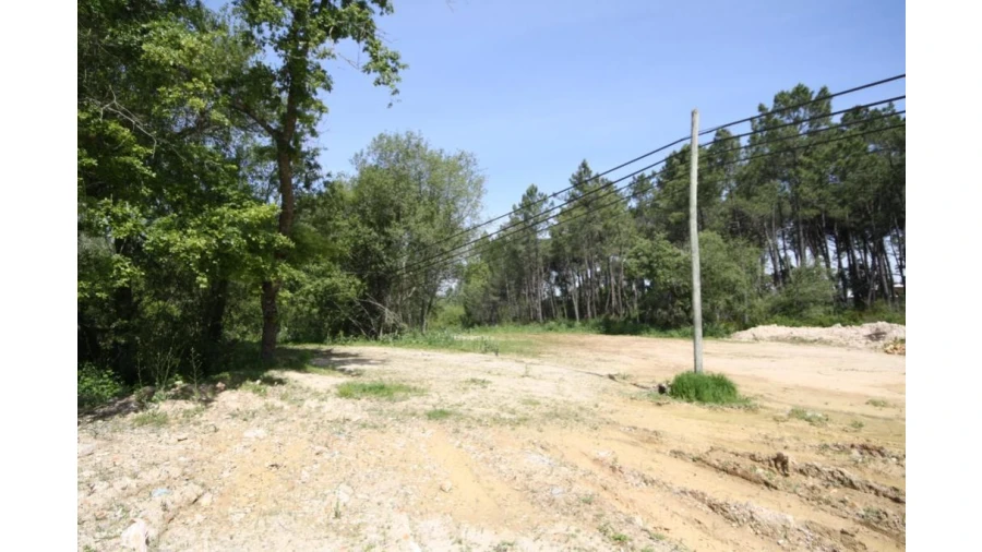 Terreno para Venda em Sebal e Belide Foto 4
