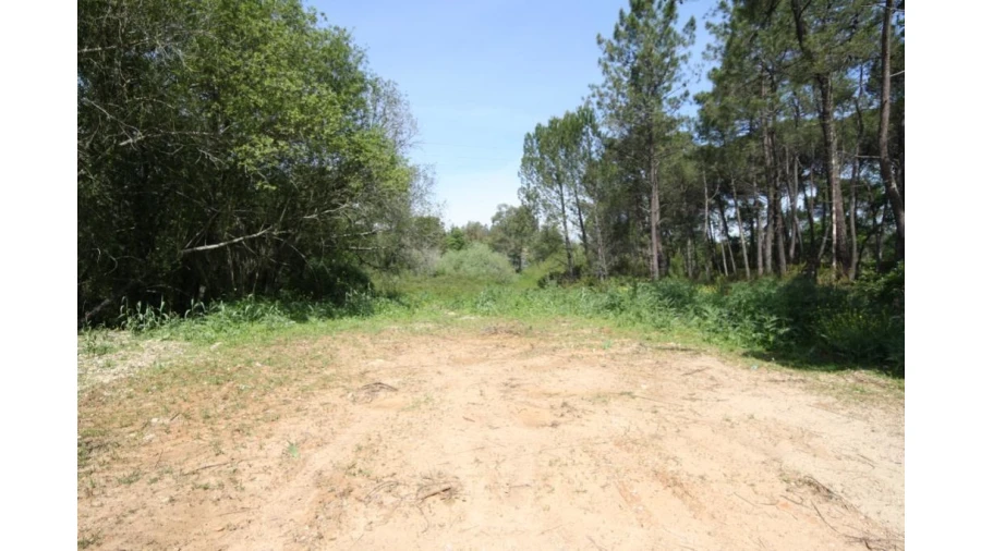 Terreno para Venda em Sebal e Belide