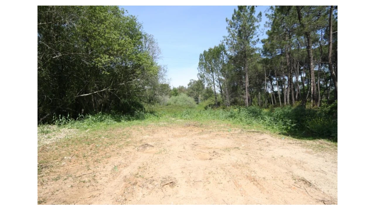 Terreno para Venda em Sebal e Belide Foto 1