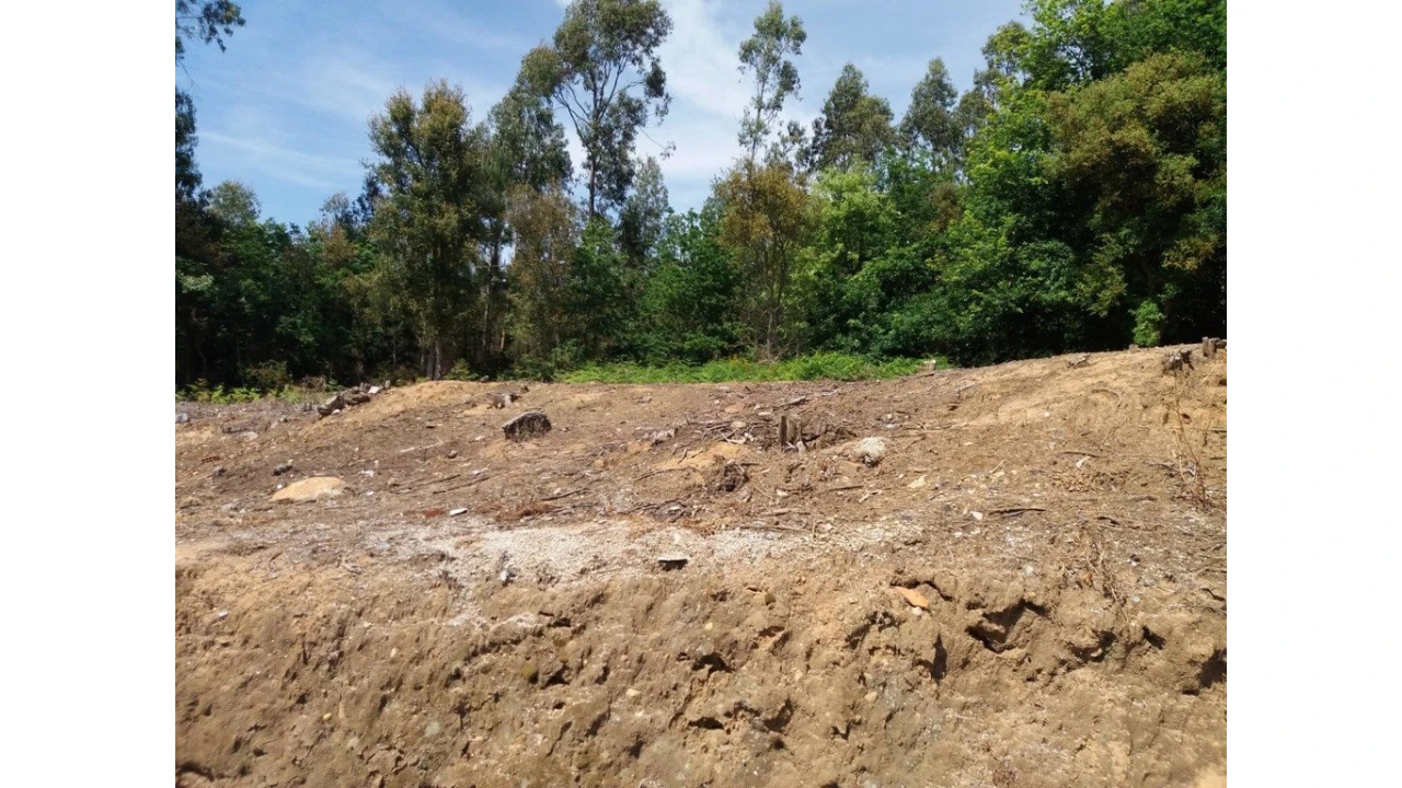 Terreno para Venda em São Paio de Oleiros Foto 7