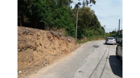 Terreno para Venda em São Paio de Oleiros