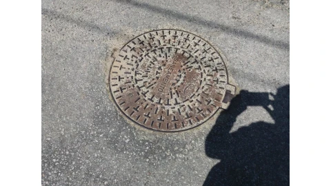 Terreno para Venda em São Paio de Oleiros