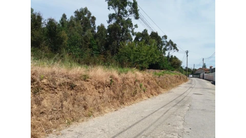 Terreno para Venda em São Paio de Oleiros