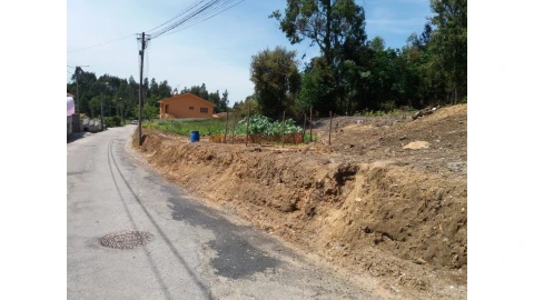 Terreno para Venda em São Paio de Oleiros