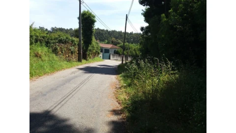 Terreno para Venda em São Paio de Oleiros
