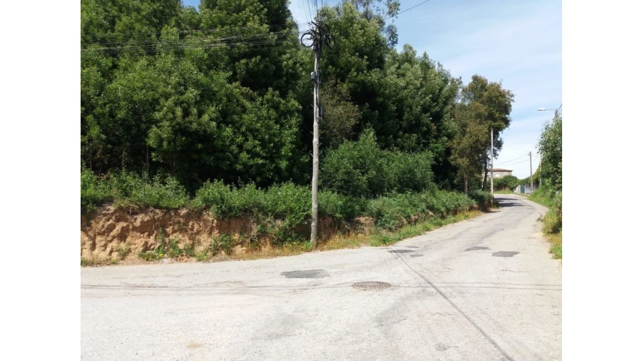 Terreno para Venda em São Paio de Oleiros Foto 9