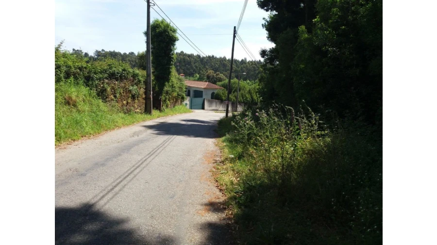 Terreno para Venda em São Paio de Oleiros Foto 12