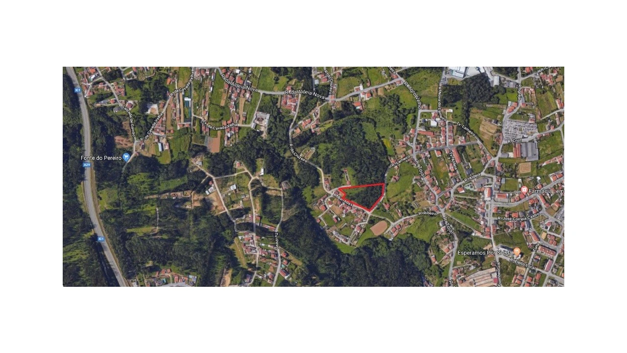 Terreno para Venda em São Paio de Oleiros Foto 1