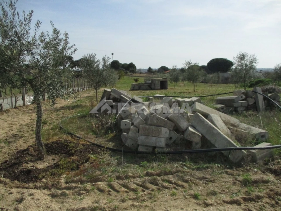 Terreno para Venda em Castelo Branco Foto 2