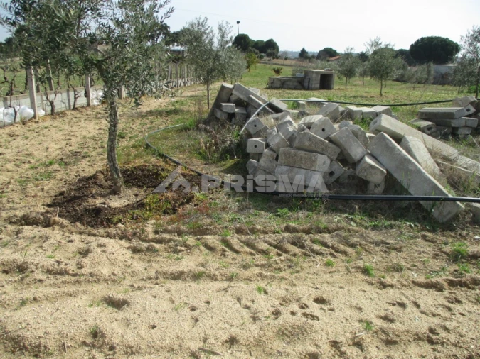 Terreno para Venda em Castelo Branco Foto 3
