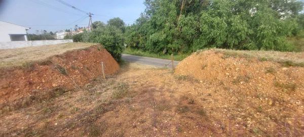 Terreno para Venda em Ourique
