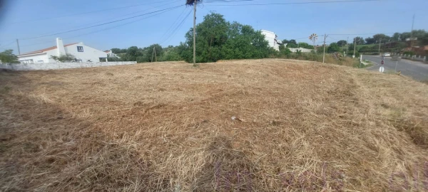 Terreno para Venda em Ourique