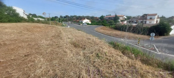 Terreno para Venda em Ourique