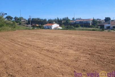 Terreno para Venda em Ourique