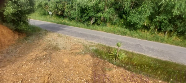 Terreno para Venda em Ourique