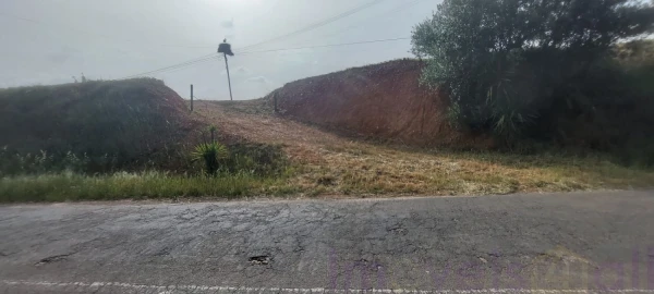 Terreno para Venda em Ourique