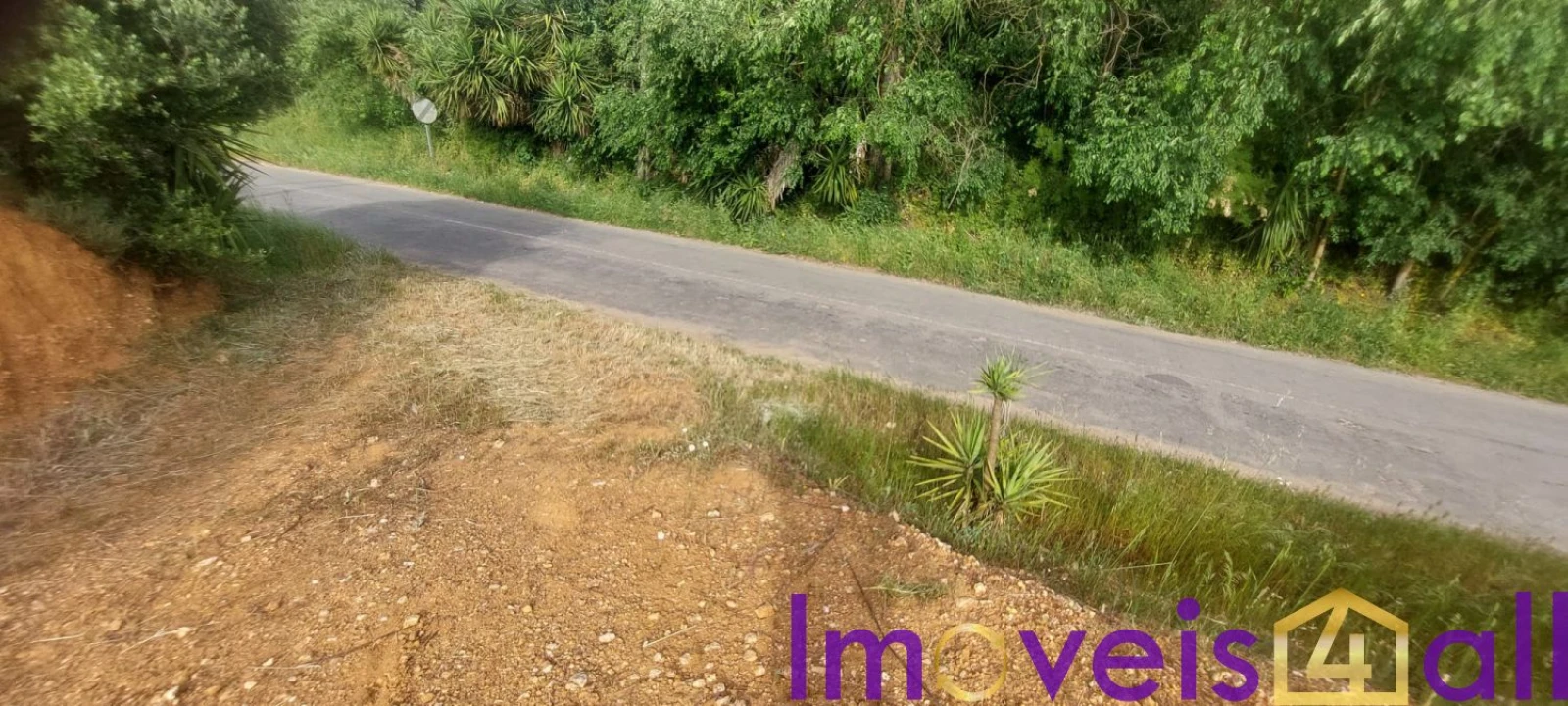 Terreno para Venda em Ourique Foto 7