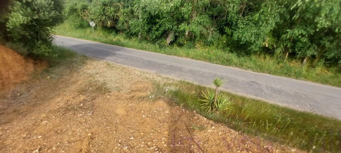Terreno para Venda em Ourique Foto 7