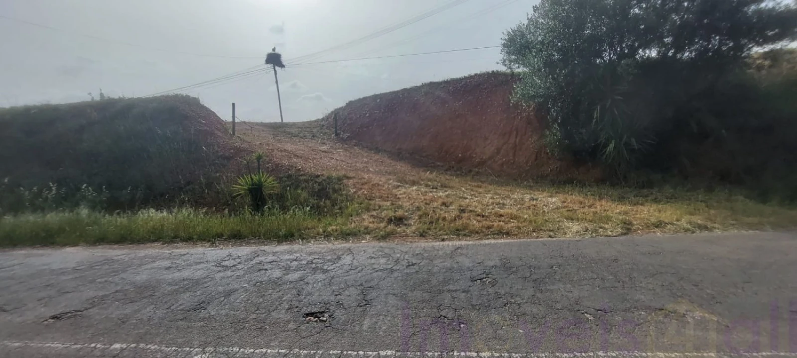 Terreno para Venda em Ourique Foto 6