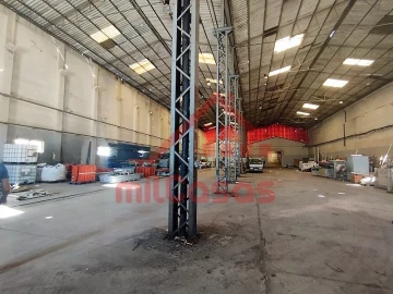 Armazém para Arrendamento em Santa Maria, São Pedro e Matacães