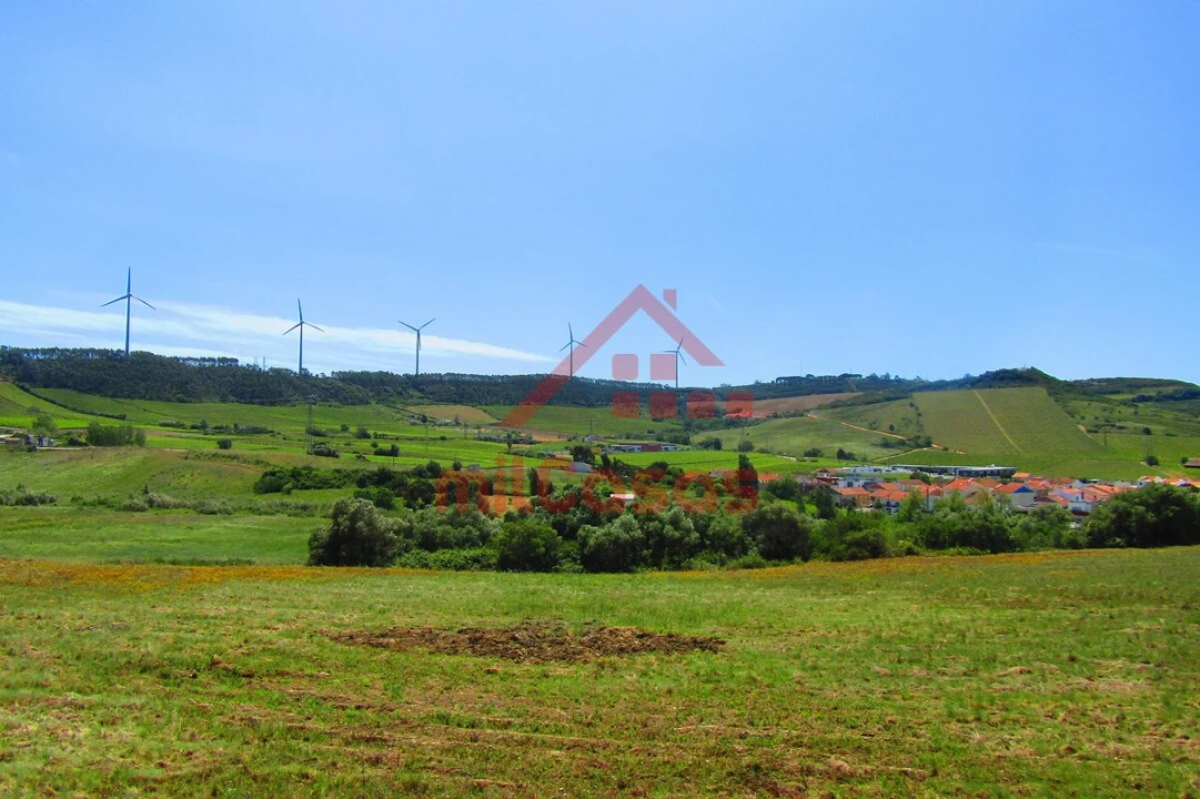 Armazém para Arrendamento em Santa Maria, São Pedro e Matacães Foto 11