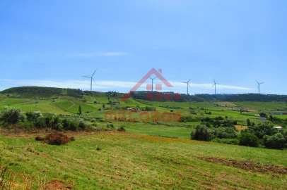 Armazém para Arrendamento em Santa Maria, São Pedro e Matacães