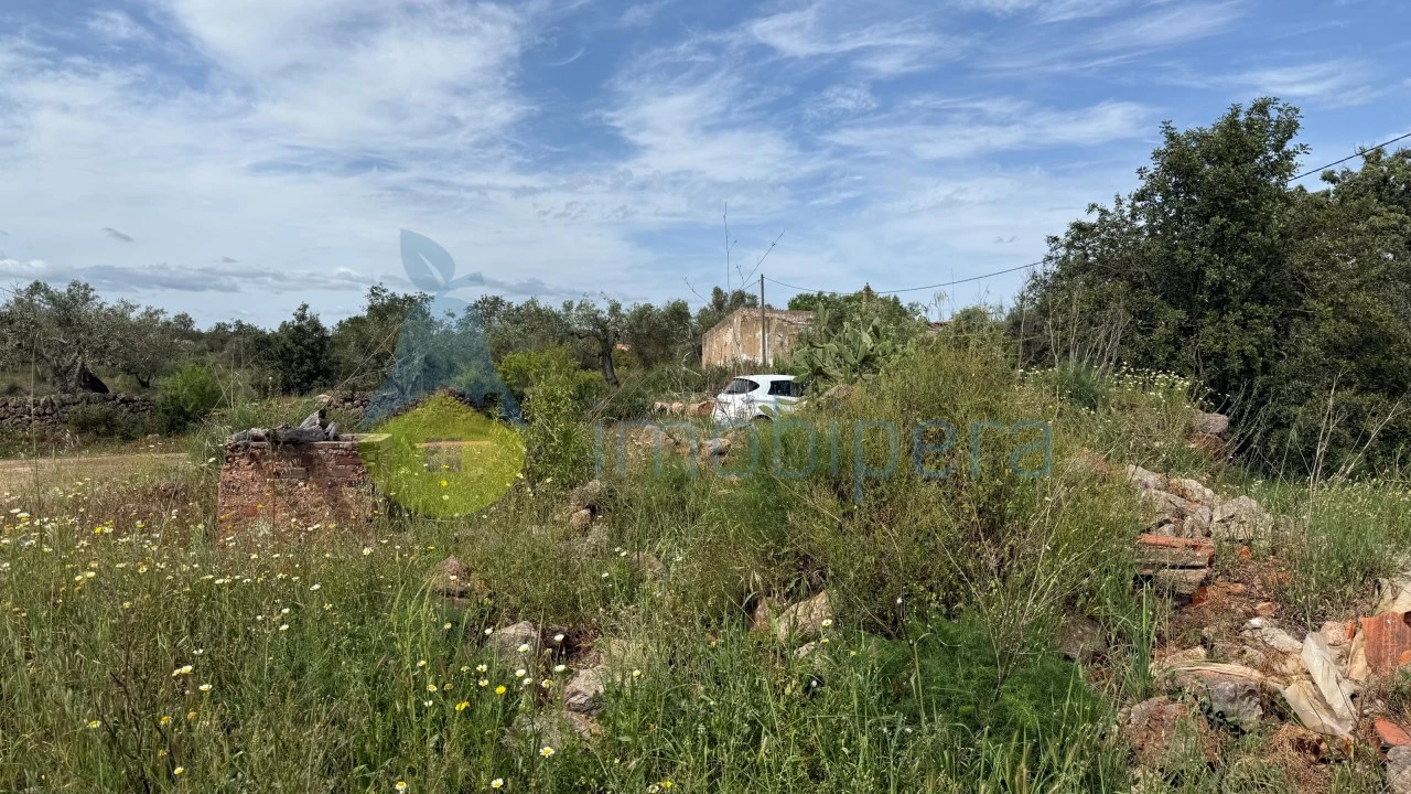Terreno para Venda em São Bartolomeu de Messines Foto 2