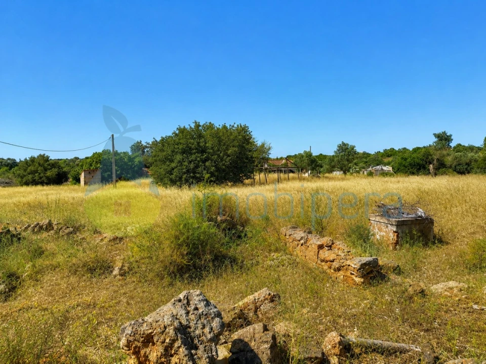 Terreno para Venda em São Bartolomeu de Messines Foto 1