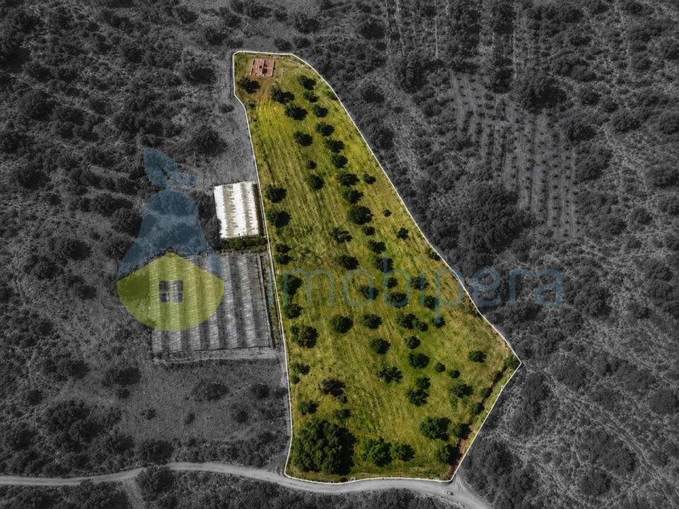 Terreno para Venda em São Bartolomeu de Messines Foto 4