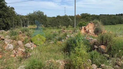 Terreno para Venda em São Bartolomeu de Messines