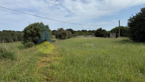 Terreno para Venda em São Bartolomeu de Messines