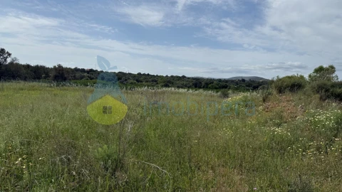 Terreno para Venda em São Bartolomeu de Messines
