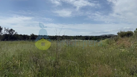 Terreno para Venda em São Bartolomeu de Messines