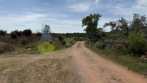 Terreno para Venda em São Bartolomeu de Messines