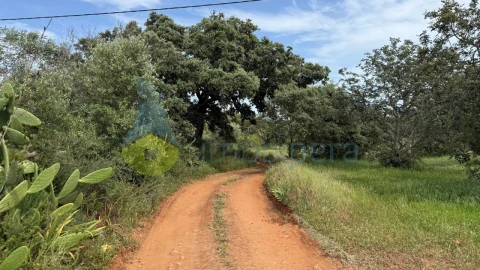 Terreno para Venda em São Bartolomeu de Messines