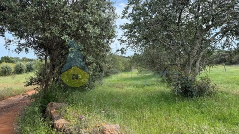 Terreno para Venda em São Bartolomeu de Messines