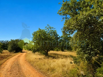 Terreno para Venda em São Bartolomeu de Messines