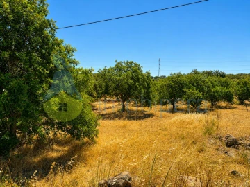 Terreno para Venda em São Bartolomeu de Messines