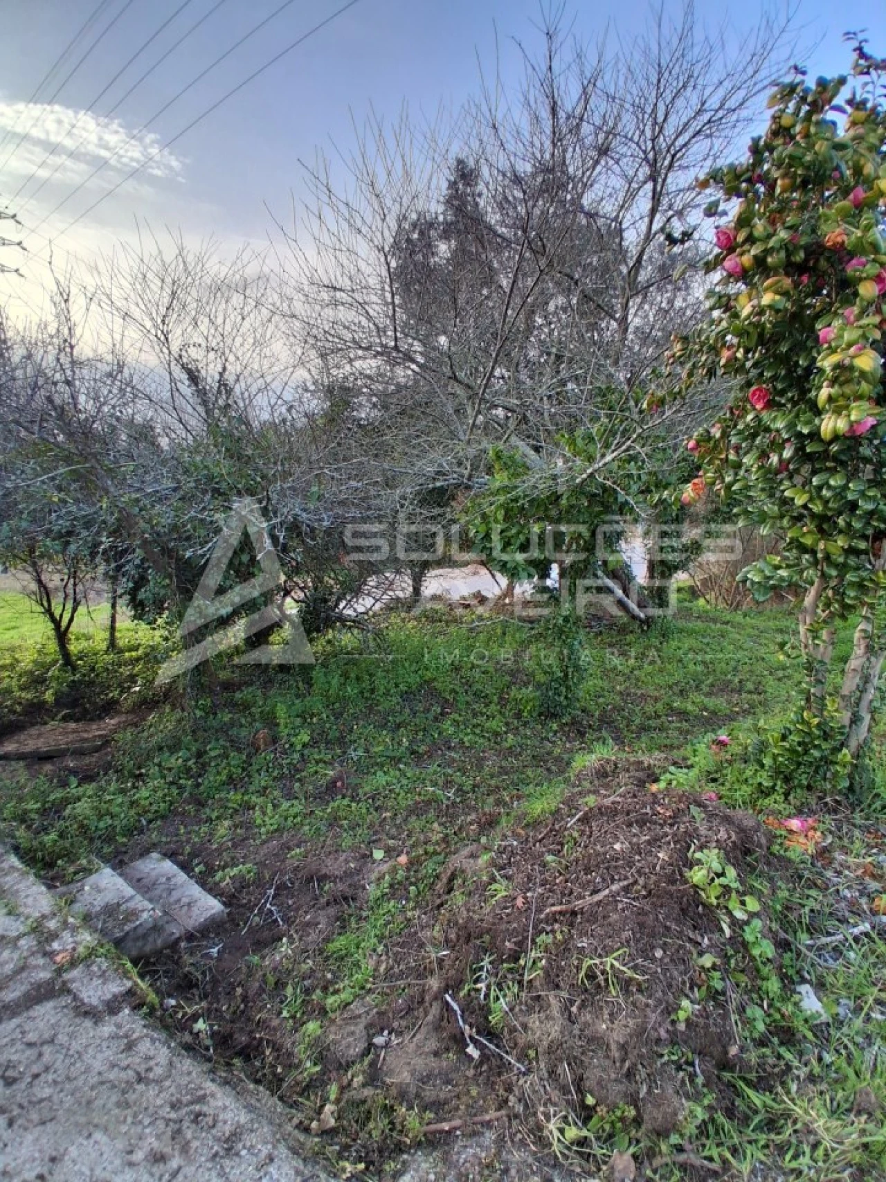 Moradia T2 para Venda em Travassô e Óis da Ribeira Foto 21