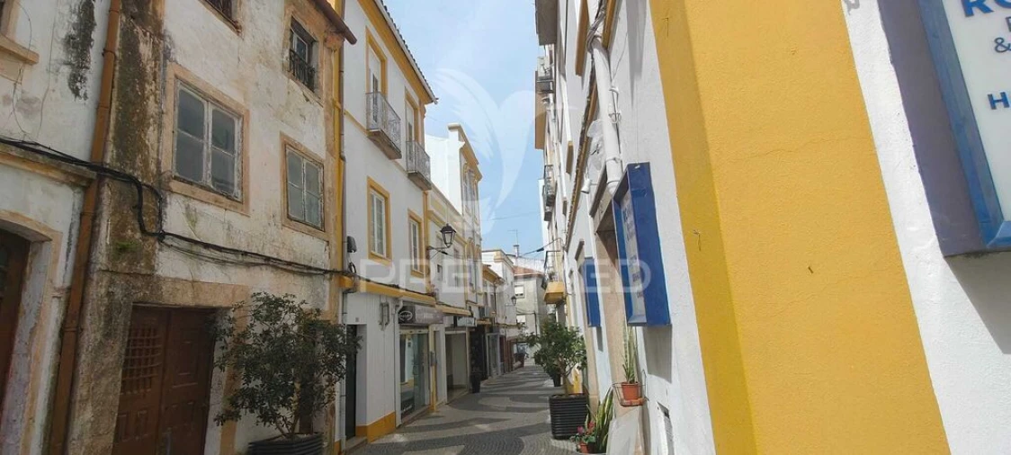 Apartamento T8 para Venda em Ribeira de Nisa e Carreiras Foto 2